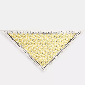 Coach Evelyn Floral Print Silk Triangle Scarf